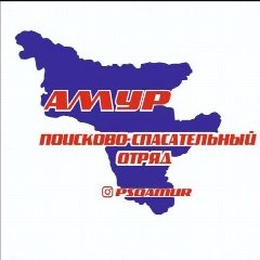 Канал АНО "ПСО " АМУР" в мессенджере MAX — 569 подписчиков