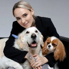Канал Киноблогер с хвостатыми | syilers в мессенджере MAX — 17 689 подписчиков