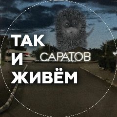 Канал Так и живем. Саратов в мессенджере MAX — 698 подписчиков