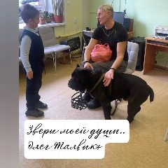 Канал Звери Моей Души (Олег Талвикъ) в мессенджере MAX — 287 подписчиков