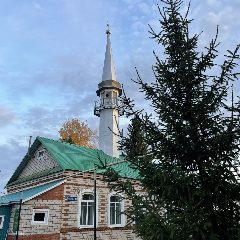 Канал Подслушано татарлар в мессенджере MAX — 459 подписчиков