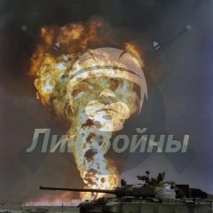 Канал Лик Войны! в мессенджере MAX — 3 332 подписчика