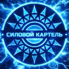 Канал Силовой Картель | Официальный канал ⚡ в мессенджере MAX — 310 подписчиков