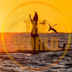 Канал The World | Путешествия факты животные море природа горы туры планета земля самые красивые места на планете океан пляж travel туризм турвизор Россия про путешествия сочи отдых кудапоехать в мессенджере MAX — 294 подписчика