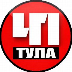 Канал Тула. Происшествия в мессенджере MAX — 31 849 подписчиков