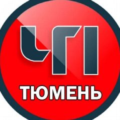 Канал Тюмень ЧП в мессенджере MAX — 36 043 подписчика
