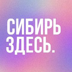 Канал СИБИРЬ ЗДЕСЬ в мессенджере MAX — 4 923 подписчика