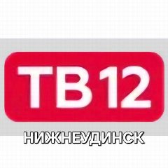 Канал ТВ12 Нижнеудинск в мессенджере MAX — 5 729 подписчиков