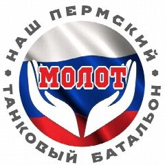 Канал МОЛОТ - НАШ ПЕРМСКИЙ ТАНКОВЫЙ БАТАЛЬОН в мессенджере MAX — 455 подписчиков