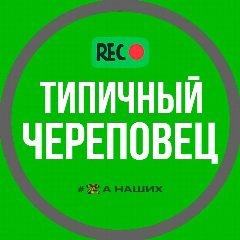 Канал Типичный Череповец в мессенджере MAX — 75 подписчиков