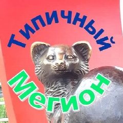 Канал Типичный Мегион в мессенджере MAX — 878 подписчиков