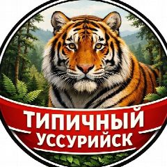 Канал Типичный Уссурийск I Новости Уссурийска и Приморья в мессенджере MAX — 4 926 подписчиков