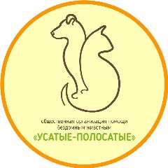 Канал "УСАТЫЕ-ПОЛОСАТЫЕ" - помощь БЕЗДОМНЫМ животным в мессенджере MAX — 188 подписчиков