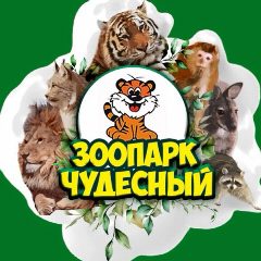 Канал Зоопарк «Чудесный» / Уссурийск-Приморский край . в мессенджере MAX — 1 290 подписчиков