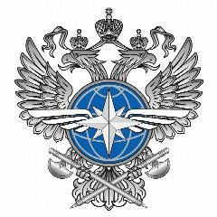 Канал Ведомственная охрана Минтранса России в мессенджере MAX — 629 подписчиков