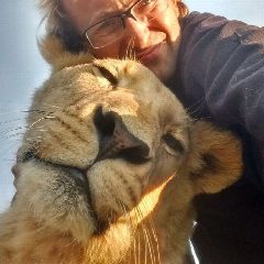 Канал Living with lions в мессенджере MAX — 270 подписчиков