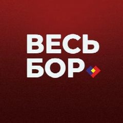 Канал ВЕСЬ БОР в мессенджере MAX — 1 233 подписчика