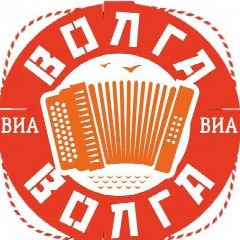 Канал ВИА «Волга-Волга» в мессенджере MAX — 384 подписчика