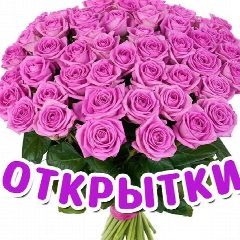 Канал Поздравления и открытки в мессенджере MAX — 7 726 подписчиков