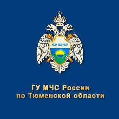 Канал МЧС Тюменской области в мессенджере MAX — 2 051 подписчик