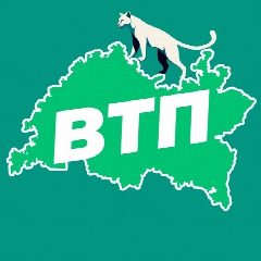 Канал ВТП | В Татарстане Поймут в мессенджере MAX — 9 538 подписчиков