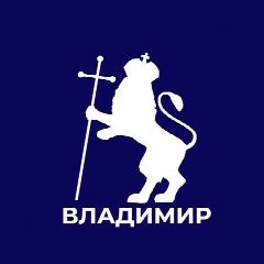 Канал Администрация города Владимира в мессенджере MAX — 4 628 подписчиков