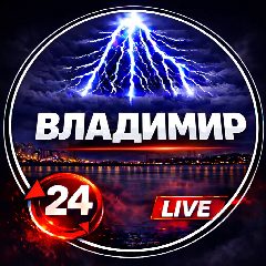 Канал ВЛАДИМИР в мессенджере MAX — 1 542 подписчика