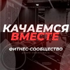 Канал Качаемся вместе/фитнес/бодибилдинг в мессенджере MAX — 1 711 подписчиков