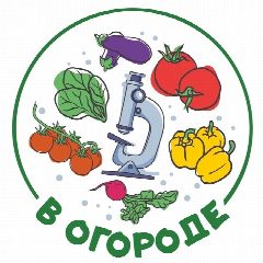 Канал В Огороде в мессенджере MAX — 1 838 подписчиков