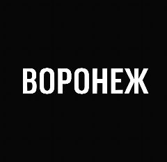 Канал Воронеж в мессенджере MAX — 442 подписчика