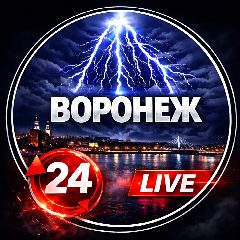 Канал ВОРОНЕЖ Live в мессенджере MAX — 13 506 подписчиков