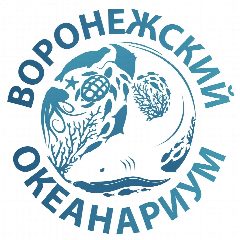 Канал Воронежский океанариум Сити-Парк "Град" в мессенджере MAX — 929 подписчиков