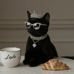 Канал Все на WB/cтиль by Lashkina в мессенджере MAX — 6 603 подписчика