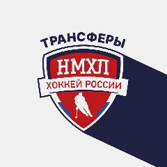Канал Трансферы НМХЛ | ХОККЕЙ в мессенджере MAX — 511 подписчиков