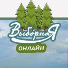 Канал Выборная online (Новосибирск) в мессенджере MAX — 3 838 подписчиков