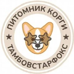 Канал Корги в мессенджере MAX — 958 подписчиков