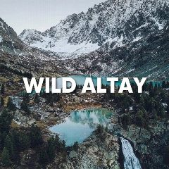 Канал WILD RUSSIANS | АЛТАЙ в мессенджере MAX — 7 393 подписчика