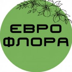 Канал Еврофрора Краснодар в мессенджере MAX — 2 166 подписчиков
