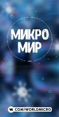 Канал Микромир в мессенджере MAX — 527 подписчиков