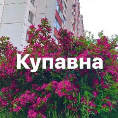 Канал Новости Купавны в мессенджере MAX — 767 подписчиков