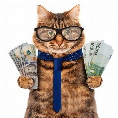 Канал … и пассивный доход | AnnMsk в мессенджере MAX — 144 подписчика