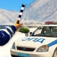Канал ДПС онлайн Лесной-Нижняя Тура в мессенджере MAX — 519 подписчиков