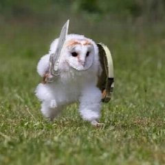Канал Owlsova бизнес на Авито в мессенджере MAX — 106 подписчиков
