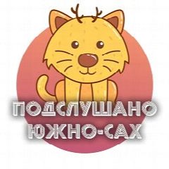 Канал Южно-Сахалинск в мессенджере MAX — 502 подписчика