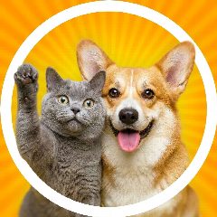 Канал Забавные животные в мессенджере MAX — 7 041 подписчик