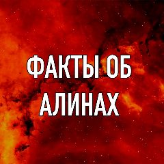 Канал Факты об Алинах в мессенджере MAX — 27 подписчиков