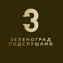 Канал Подслушано Зеленоград в мессенджере MAX — 428 подписчиков