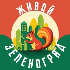 Канал Живой Зеленоград в мессенджере MAX — 3 661 подписчик