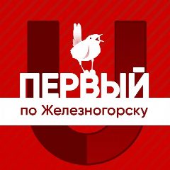 Канал Первый по Железногорску в мессенджере MAX — 4 747 подписчиков