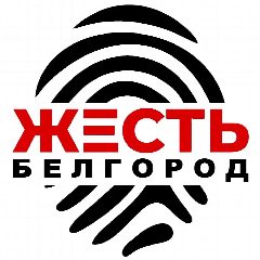 Канал Жесть Белгород в мессенджере MAX — 254 267 подписчиков